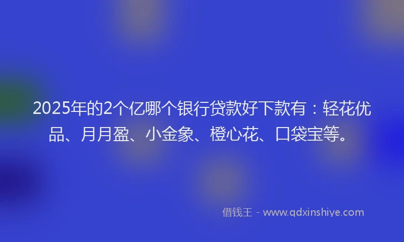 2025年的2个亿哪个银行贷款好下款有：轻花优品、月月盈、小金象、橙心花、口袋宝等。