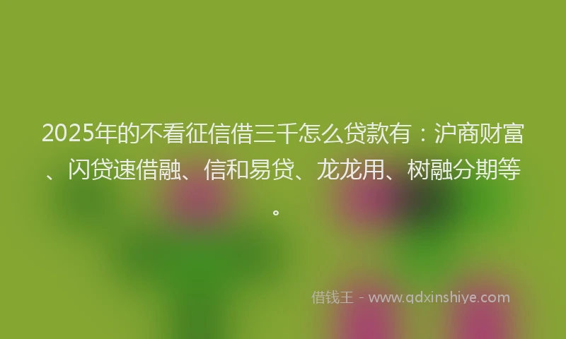2025年的不看征信借三千怎么贷款有：沪商财富、闪贷速借融、信和易贷、龙龙用、树融分期等。