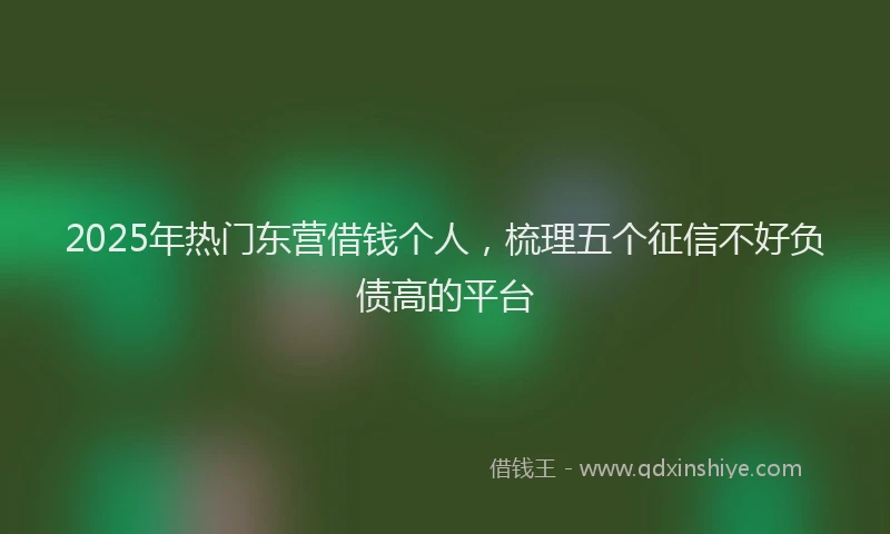 2025年热门东营借钱个人，梳理五个征信不好负债高的平台