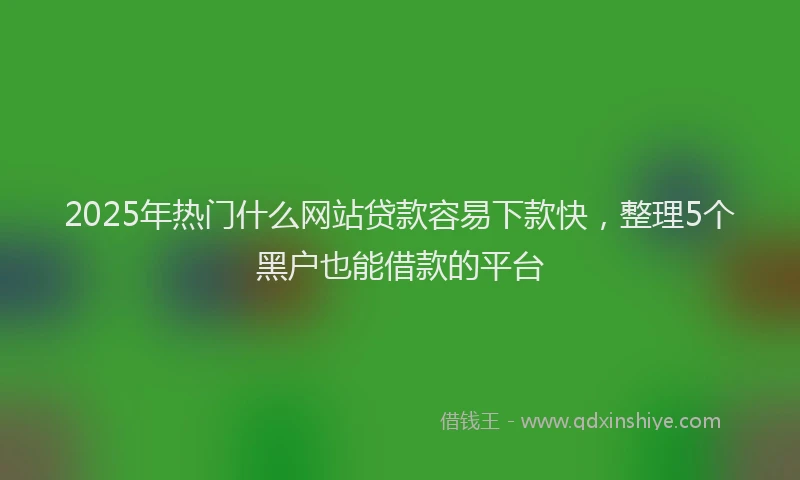 2025年热门什么网站贷款容易下款快，整理5个黑户也能借款的平台