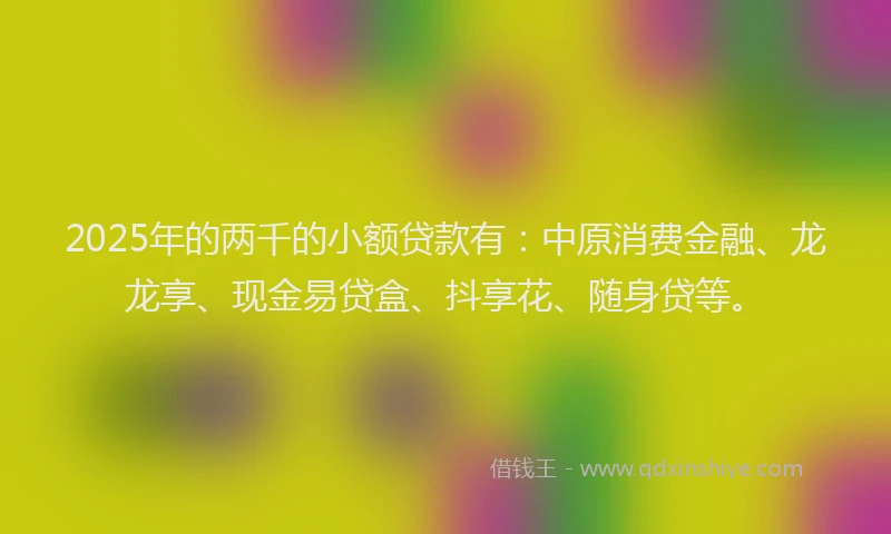 2025年的两千的小额贷款有：中原消费金融、龙龙享、现金易贷盒、抖享花、随身贷等。