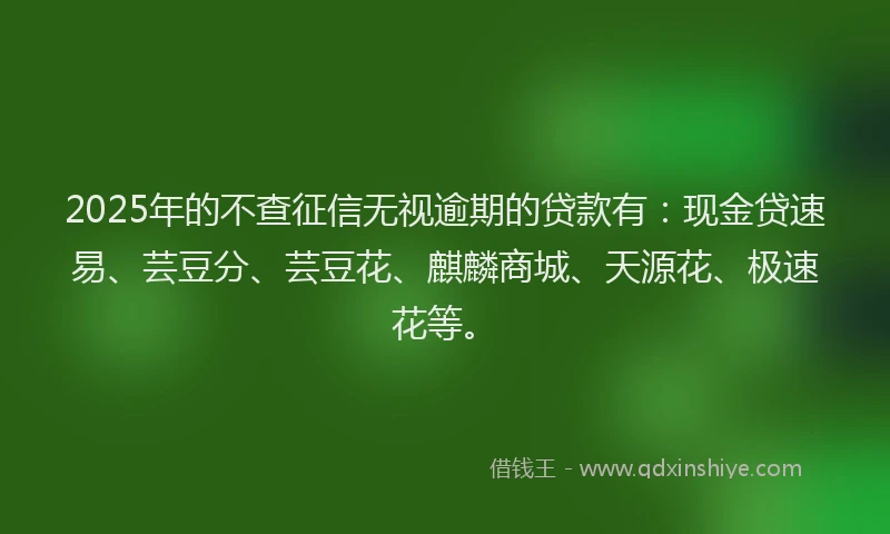2025年的不查征信无视逾期的贷款有：现金贷速易、芸豆分、芸豆花、麒麟商城、天源花、极速花等。