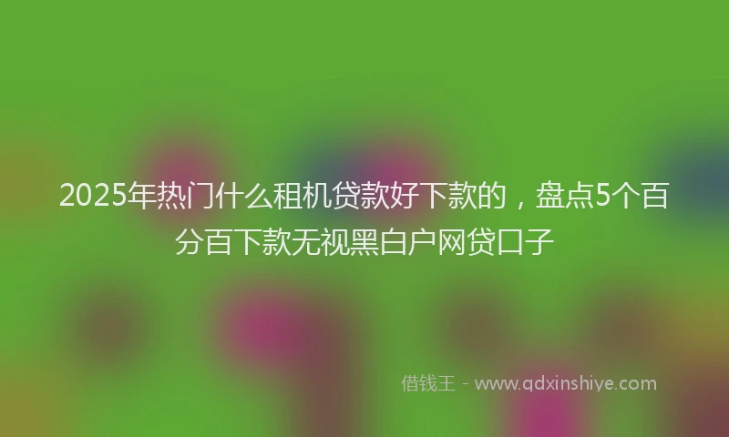 2025年热门什么租机贷款好下款的，盘点5个百分百下款无视黑白户网贷口子