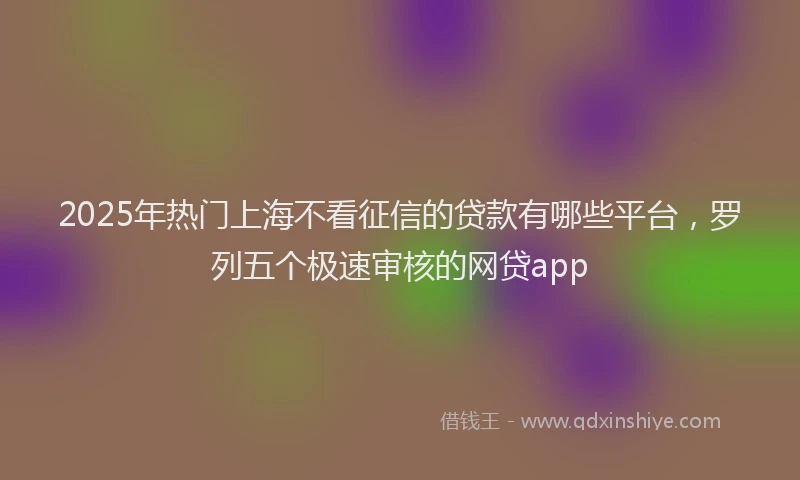 2025年热门上海不看征信的贷款有哪些平台，罗列五个极速审核的网贷app