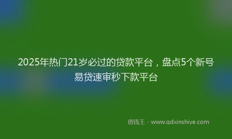2025年热门21岁必过的贷款平台，盘点5个新号易贷速审秒下款平台