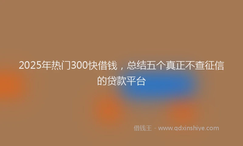 2025年热门300快借钱，总结五个真正不查征信的贷款平台