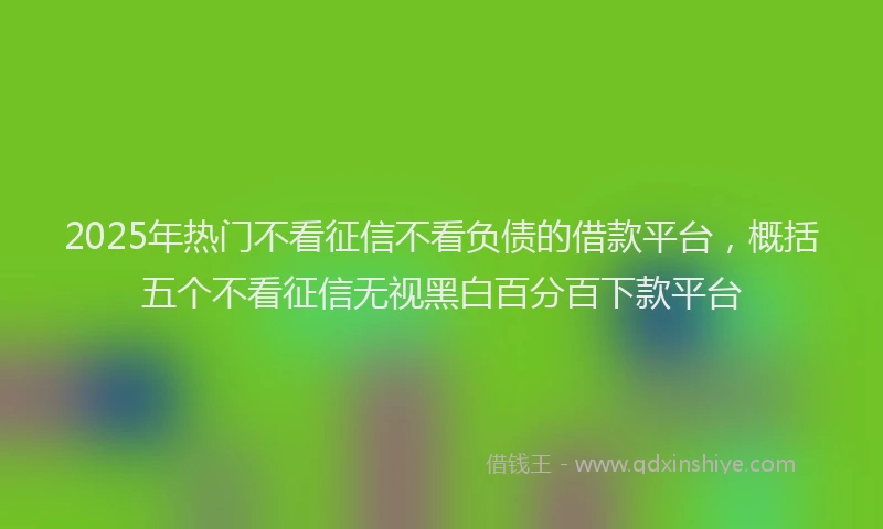 2025年热门不看征信不看负债的借款平台，概括五个不看征信无视黑白百分百下款平台