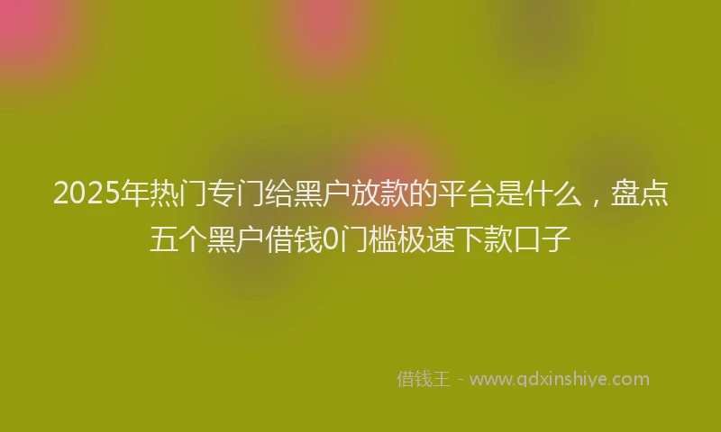 2025年热门专门给黑户放款的平台是什么，盘点五个黑户借钱0门槛极速下款口子