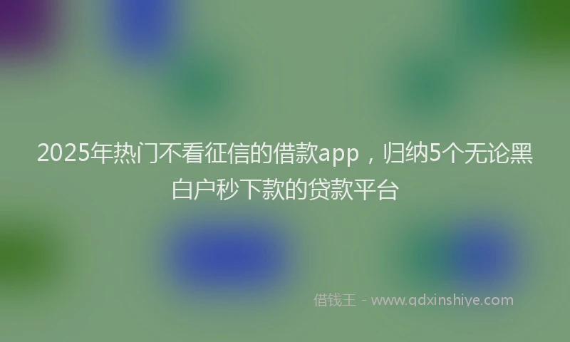 2025年热门不看征信的借款app，归纳5个无论黑白户秒下款的贷款平台