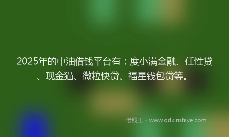 2025年的中油借钱平台有：度小满金融、任性贷、现金猫、微粒快贷、福星钱包贷等。