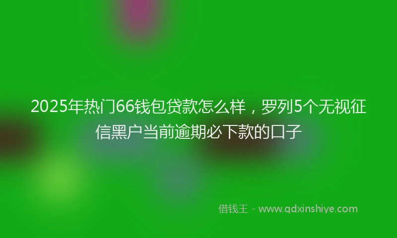 2025年热门66钱包贷款怎么样，罗列5个无视征信黑户当前逾期必下款的口子