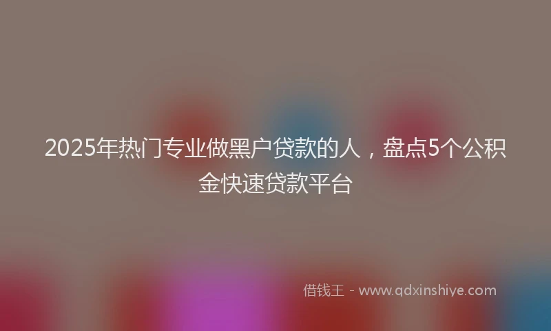 2025年热门专业做黑户贷款的人，盘点5个公积金快速贷款平台
