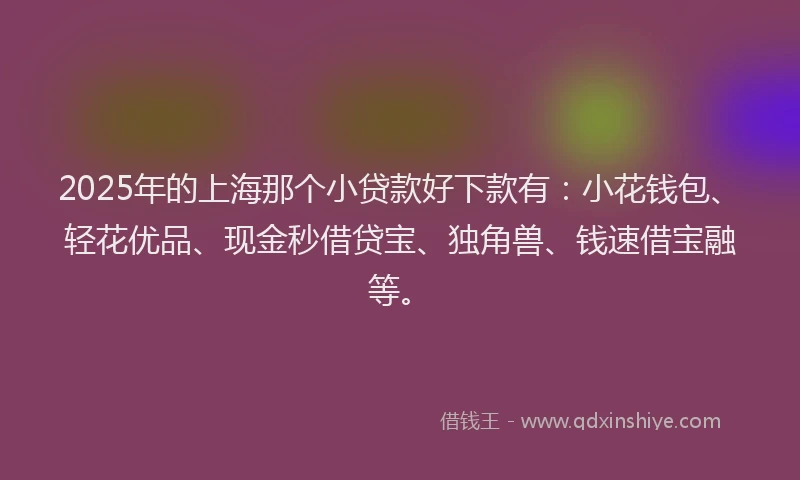 2025年的上海那个小贷款好下款有：小花钱包、轻花优品、现金秒借贷宝、独角兽、钱速借宝融等。