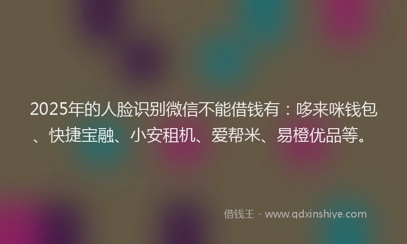 2025年的人脸识别微信不能借钱有：哆来咪钱包、快捷宝融、小安租机、爱帮米、易橙优品等。
