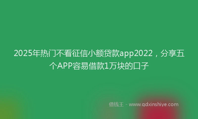 2025年热门不看征信小额贷款app2022，分享五个APP容易借款1万块的口子