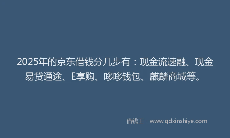 2025年的京东借钱分几步有：现金流速融、现金易贷通途、E享购、哆哆钱包、麒麟商城等。
