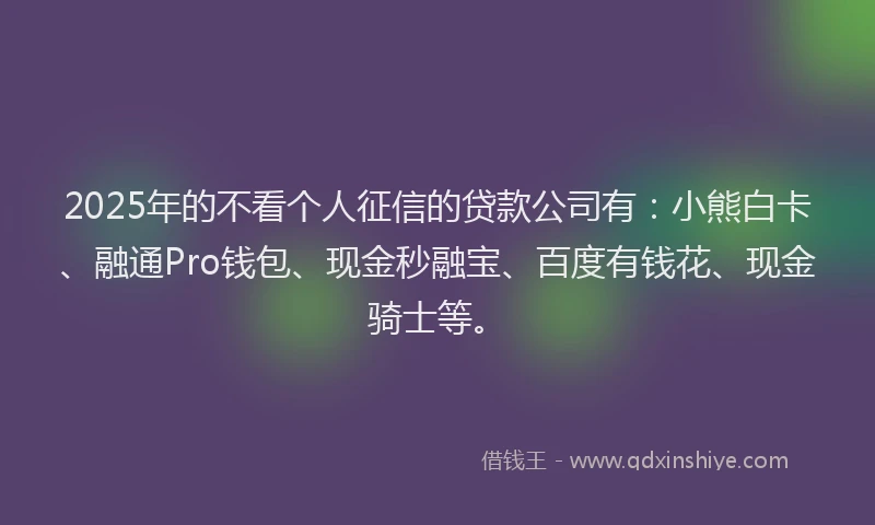 2025年的不看个人征信的贷款公司有：小熊白卡、融通Pro钱包、现金秒融宝、百度有钱花、现金骑士等。