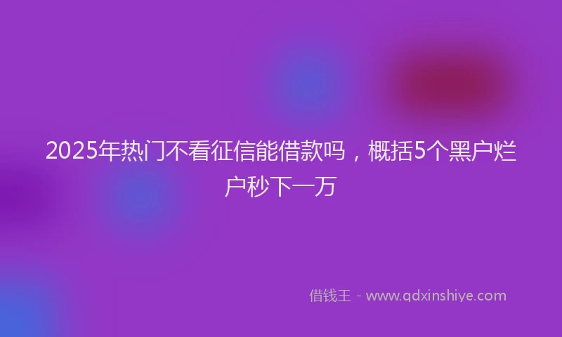 2025年热门不看征信能借款吗，概括5个黑户烂户秒下一万
