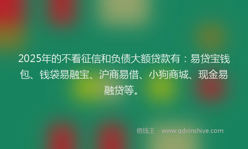 2025年的不看征信和负债大额贷款有：易贷宝钱包、钱袋易融宝、沪商易借、小狗商城、现金易融贷等。