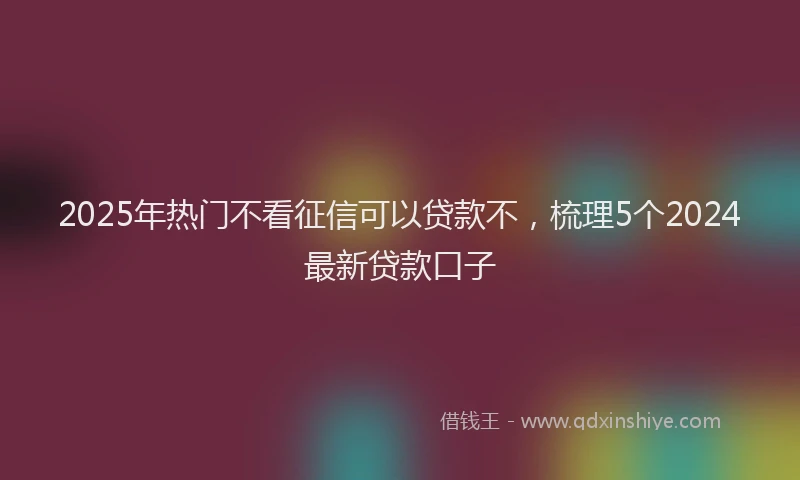 2025年热门不看征信可以贷款不，梳理5个2024最新贷款口子