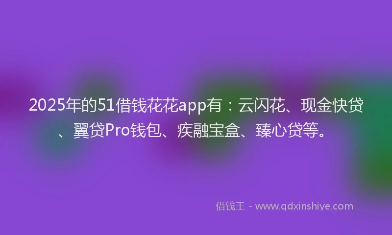 2025年的51借钱花花app有：云闪花、现金快贷、翼贷Pro钱包、疾融宝盒、臻心贷等。