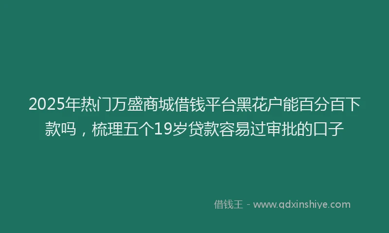 2025年热门万盛商城借钱平台黑花户能百分百下款吗，梳理五个19岁贷款容易过审批的口子