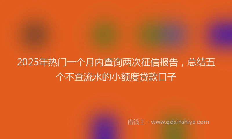 2025年热门一个月内查询两次征信报告，总结五个不查流水的小额度贷款口子