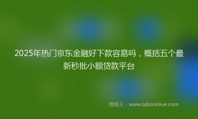 2025年热门京东金融好下款容易吗，概括五个最新秒批小额贷款平台