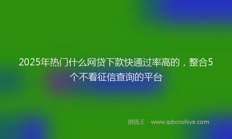 2025年热门什么网贷下款快通过率高的，整合5个不看征信查询的平台