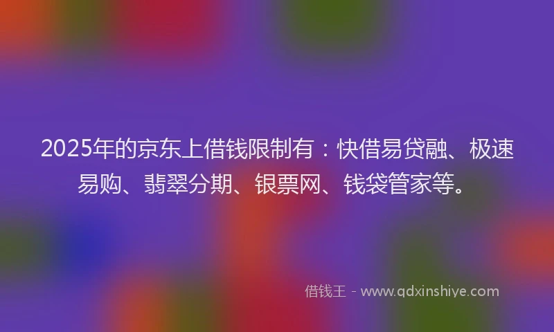 2025年的京东上借钱限制有：快借易贷融、极速易购、翡翠分期、银票网、钱袋管家等。