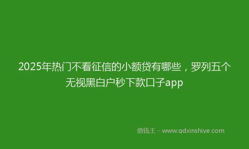 2025年热门不看征信的小额贷有哪些，罗列五个无视黑白户秒下款口子app