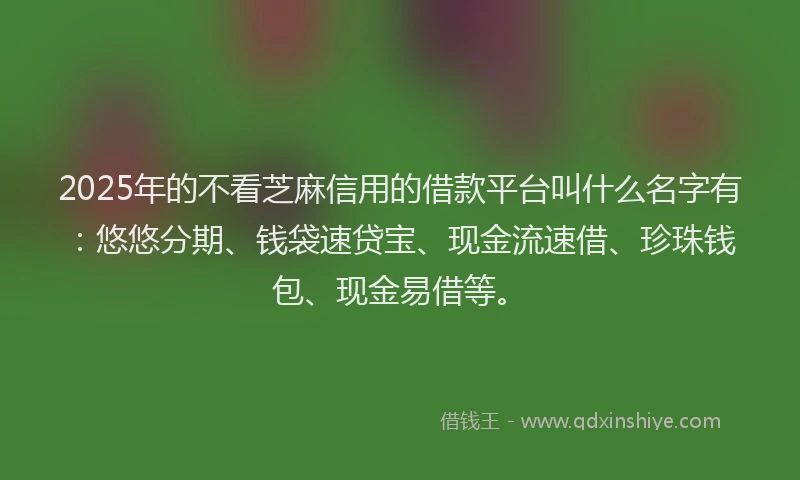 2025年的不看芝麻信用的借款平台叫什么名字有：悠悠分期、钱袋速贷宝、现金流速借、珍珠钱包、现金易借等。