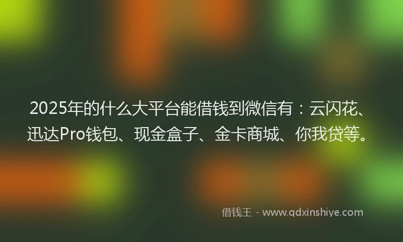 2025年的什么大平台能借钱到微信有：云闪花、迅达Pro钱包、现金盒子、金卡商城、你我贷等。