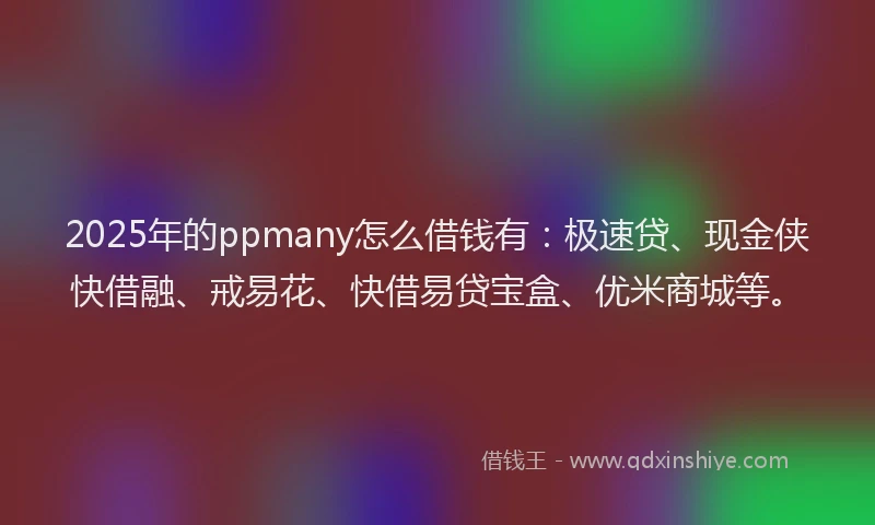 2025年的ppmany怎么借钱有：极速贷、现金侠快借融、戒易花、快借易贷宝盒、优米商城等。