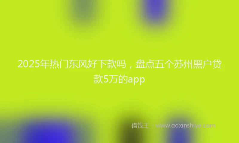 2025年热门东风好下款吗，盘点五个苏州黑户贷款5万的app