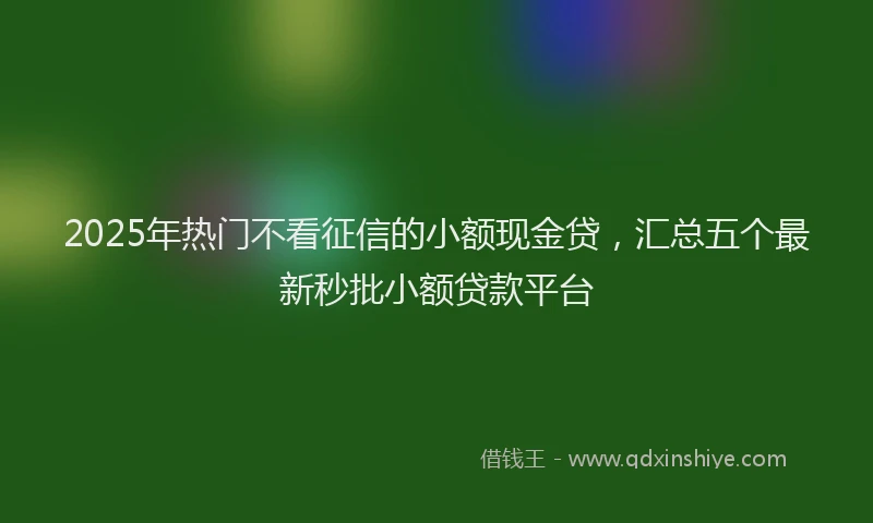 2025年热门不看征信的小额现金贷，汇总五个最新秒批小额贷款平台