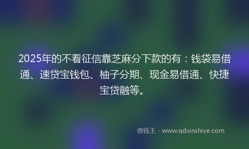 2025年的不看征信靠芝麻分下款的有：钱袋易借通、速贷宝钱包、柚子分期、现金易借通、快捷宝贷融等。
