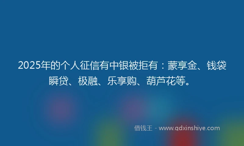 2025年的个人征信有中银被拒有：蒙享金、钱袋瞬贷、极融、乐享购、葫芦花等。