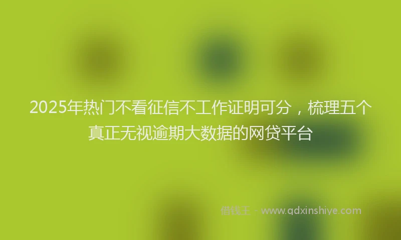 2025年热门不看征信不工作证明可分，梳理五个真正无视逾期大数据的网贷平台