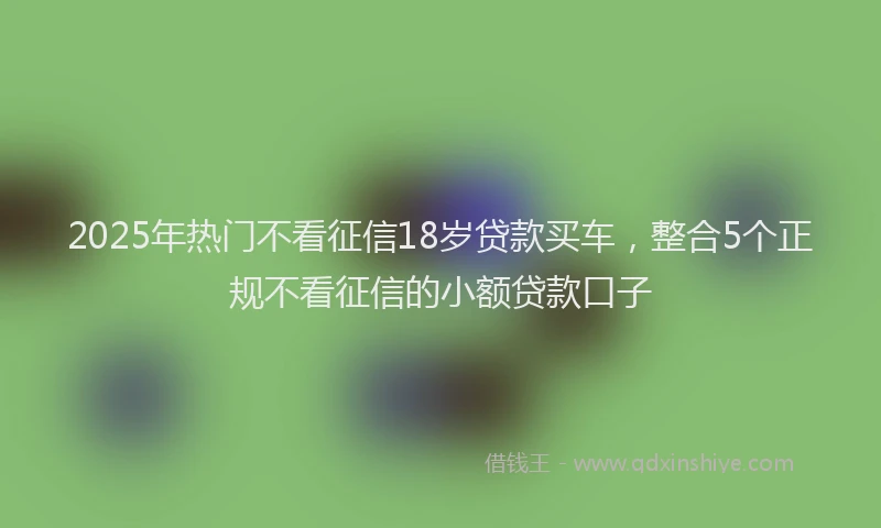 2025年热门不看征信18岁贷款买车，整合5个正规不看征信的小额贷款口子