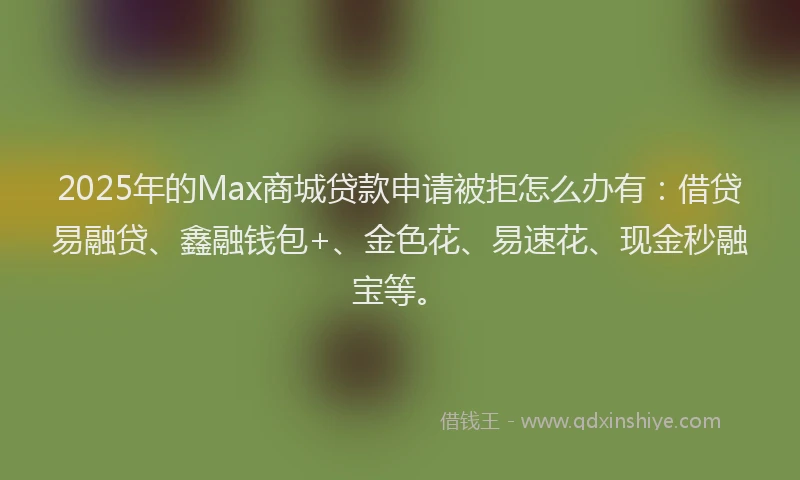 2025年的Max商城贷款申请被拒怎么办有：借贷易融贷、鑫融钱包+、金色花、易速花、现金秒融宝等。