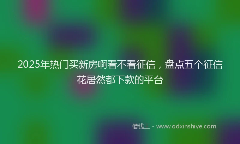 2025年热门买新房啊看不看征信，盘点五个征信花居然都下款的平台