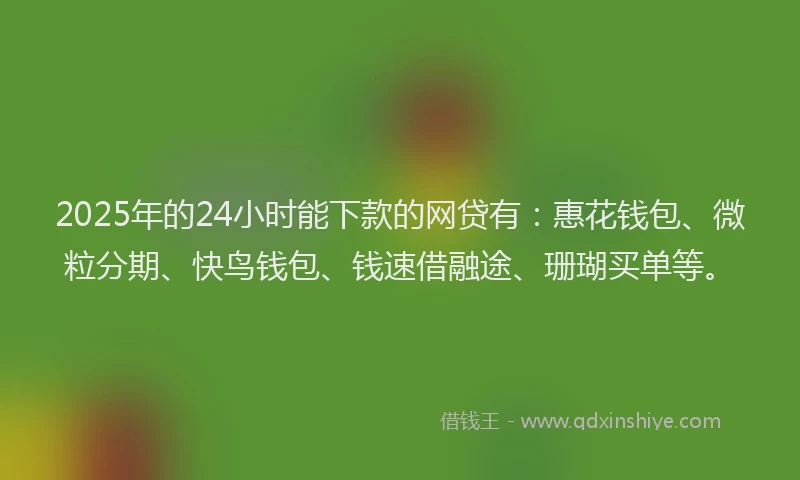 2025年的24小时能下款的网贷有：惠花钱包、微粒分期、快鸟钱包、钱速借融途、珊瑚买单等。
