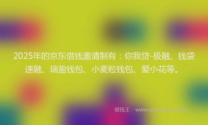 2025年的京东借钱邀请制有：你我贷-极融、钱袋速融、瑞盈钱包、小麦粒钱包、爱小花等。
