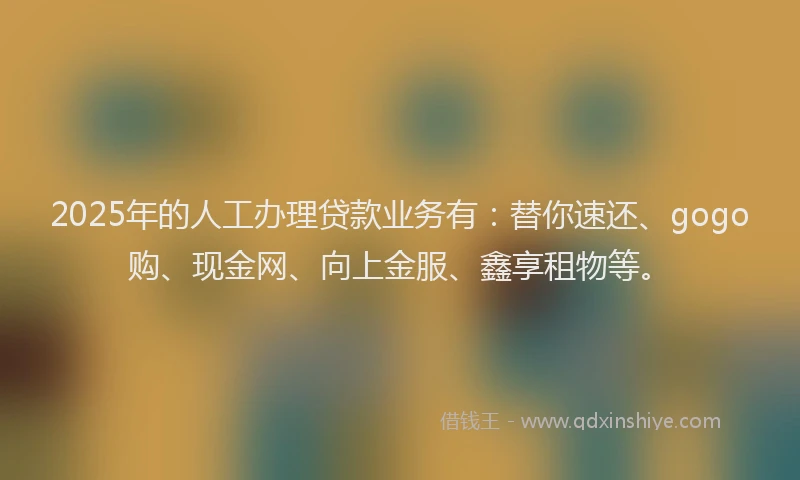 2025年的人工办理贷款业务有：替你速还、gogo购、现金网、向上金服、鑫享租物等。