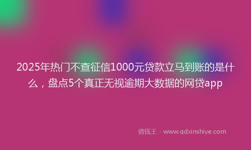 2025年热门不查征信1000元贷款立马到账的是什么，盘点5个真正无视逾期大数据的网贷app