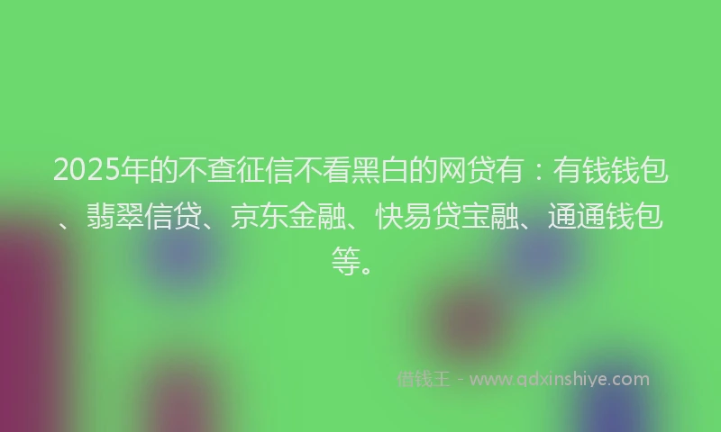 2025年的不查征信不看黑白的网贷有：有钱钱包、翡翠信贷、京东金融、快易贷宝融、通通钱包等。