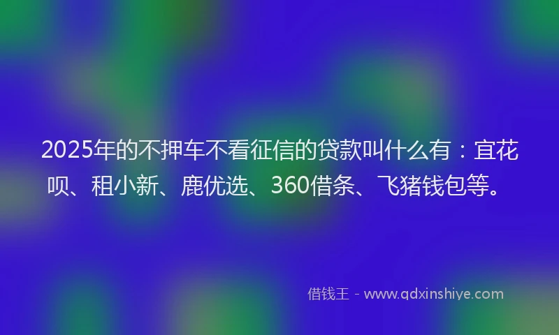 2025年的不押车不看征信的贷款叫什么有：宜花呗、租小新、鹿优选、360借条、飞猪钱包等。