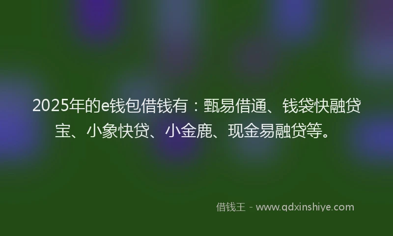 2025年的e钱包借钱有：甄易借通、钱袋快融贷宝、小象快贷、小金鹿、现金易融贷等。