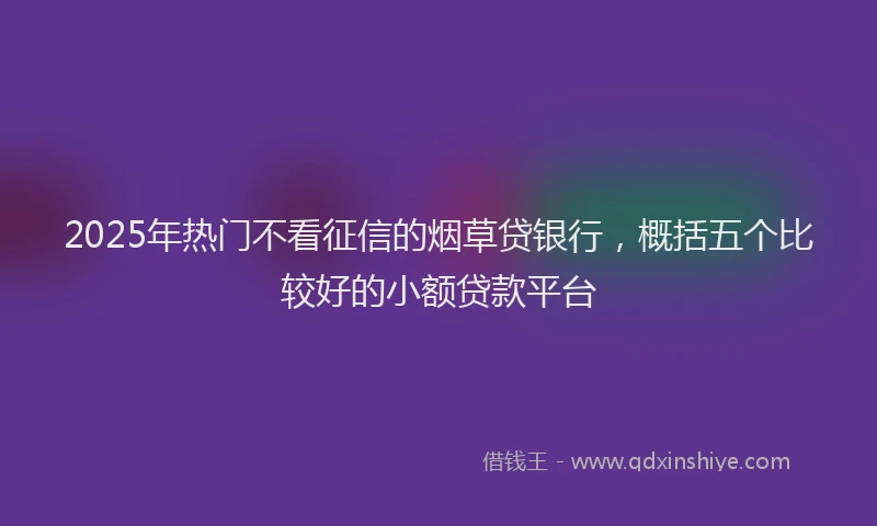 2025年热门不看征信的烟草贷银行，概括五个比较好的小额贷款平台